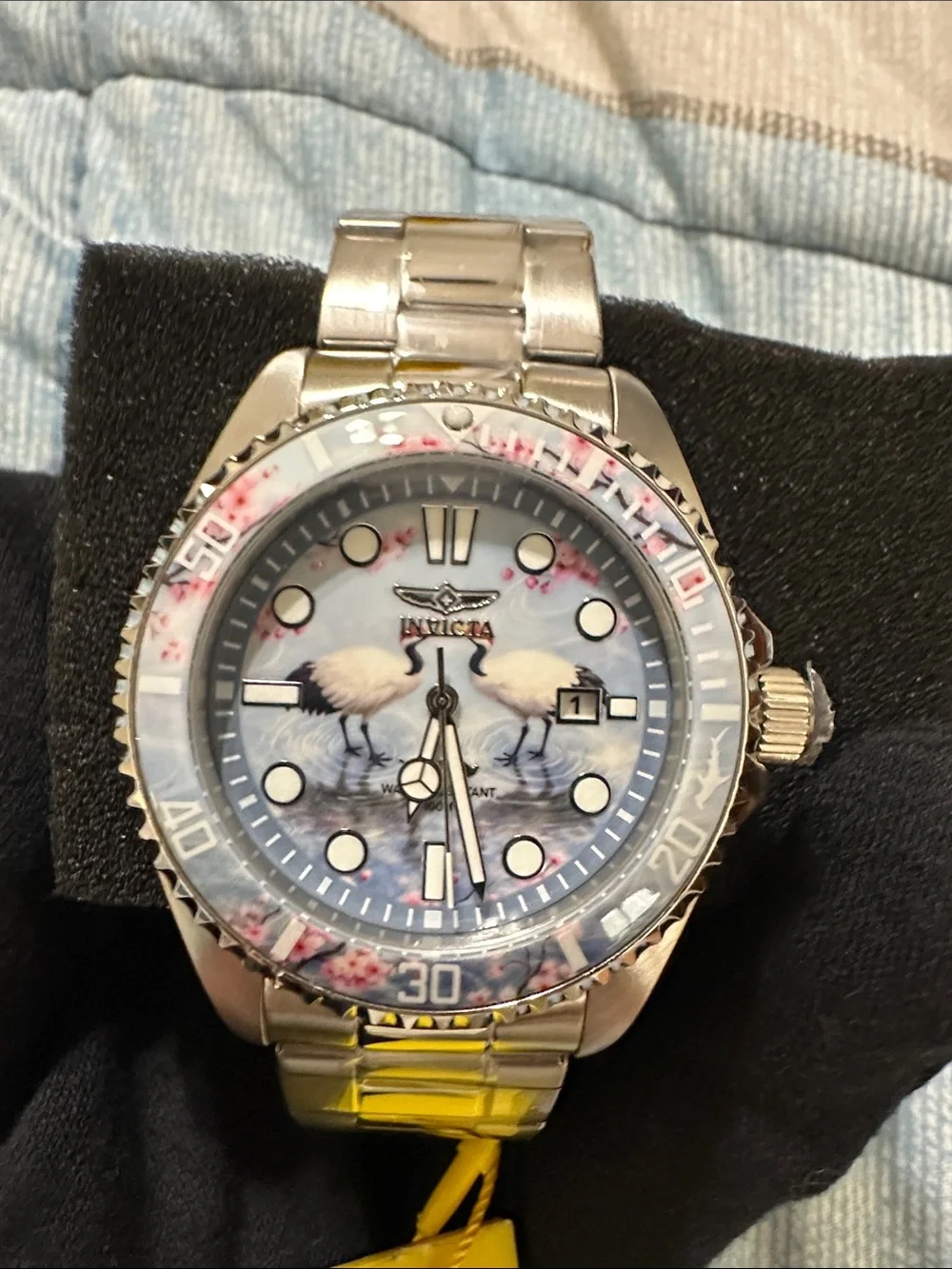 Invicta Pro Diver Visions 43mm